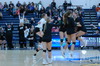 Gator players and coaches celebrate after the team earned the final point in its 3-1 win over the Ada-Borup Cougars in the Section 8A Volleyball Tournament semifinals from Crookston High School on October 31. With the win, the Gators advance to the program’s third straight section title match, looking to capture its third consecutive section title. (photo by Ryan Bergeron)